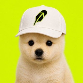 Telegram profile photo for booh community