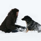 Telegram profile photo for Мы в ответе за тех, кого приручили. Кураторские хвосты Ирины 🐕