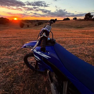 Telegram profile photo for MotoHub
