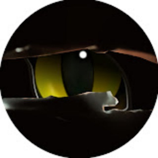 Telegram profile photo for 猫眼观察室