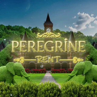 Telegram profile photo for Peregrine Rent : HIRTAL & Openg seng