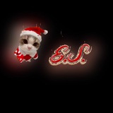 Telegram profile photo for E. S.