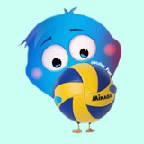 Telegram profile photo for 𝙑𝙤𝙡𝙡𝙚𝙮 𝙁𝙪𝙣