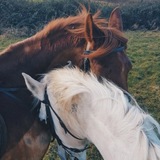 Telegram profile photo for ²⁸𝓭𝓮𝓬𝓮𝓶b𝓮𝓻