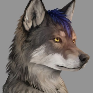 Telegram profile photo for Лапка Мурзэ