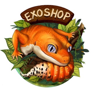 Telegram profile photo for Предложения ExoShop