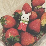Telegram profile photo for Переходник 🍓