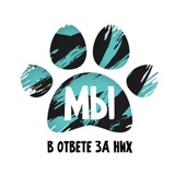 Telegram profile photo for Мы в ответе за них. Ульяновская область