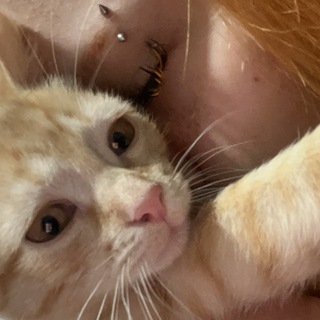 Telegram profile photo for палата №10