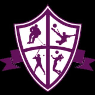 Telegram profile photo for FFP - Free Fantasy Predictions