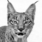 Telegram profile photo for Alojamiento rural y Guía de naturaleza Milana
