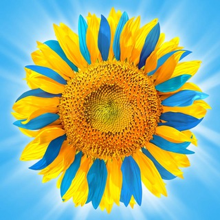 Telegram group profile photo for 🇨🇭Допомога українцям у Швейцарії / Помощь украинцам в Швейцарии 🇺🇦