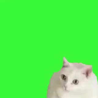 Telegram profile photo for Отзывы
