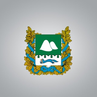 Telegram profile photo for Курганская область официально