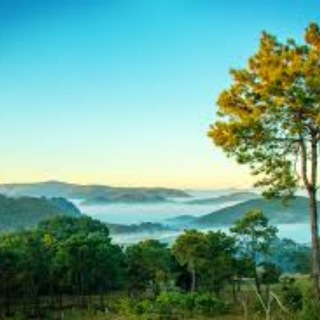 Telegram profile photo for ရှမ်းပြည်နယ်သတင်းစုံ