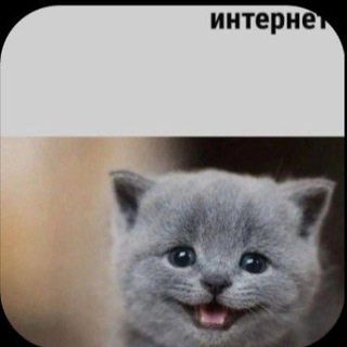 Telegram profile photo for Хоули