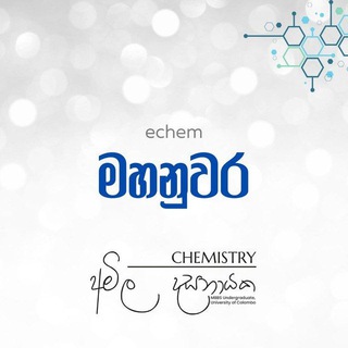 Telegram profile photo for kandy Echem