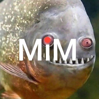 Telegram profile photo for Мімізбірник ☕