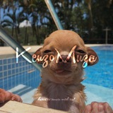 Telegram profile photo for Xolboyevich | Kenzo