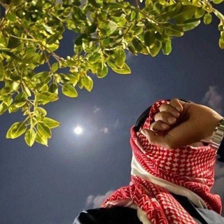 Telegram profile photo for Qorongulik abadiy emas🌓