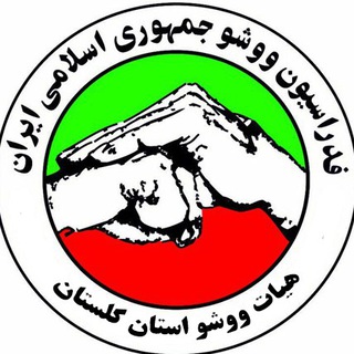 Telegram profile photo for گلستان ووشو ؛ کانال رسمی هیات ووشو گلستان