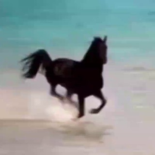 Telegram profile photo for 🌍ЗНАНИЯ И ОСОЗНАННОСТЬ🪐