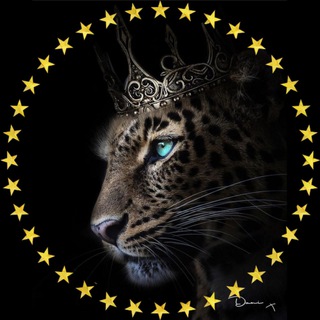 Telegram profile photo for ⚜️Check.Lux⚜️