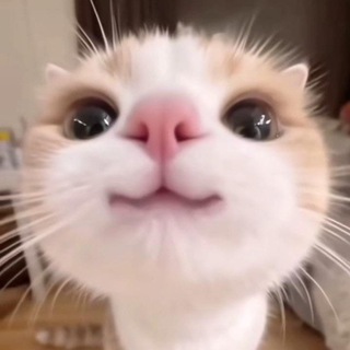 Telegram profile photo for Моя жизнь