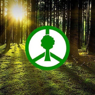 Telegram profile photo for 🏞 Проект "Чистый Лес"
