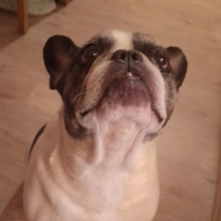 Telegram profile photo for Склад старых кассет