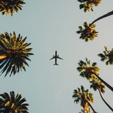 Telegram profile photo for Travel