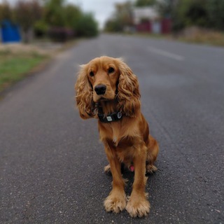 Telegram profile photo for Джек