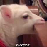 Telegram profile photo for существа извне