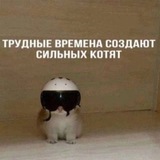 Telegram profile photo for Пересылка @