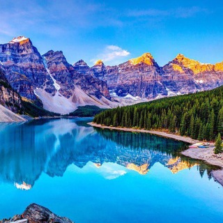 Telegram profile photo for Traveller