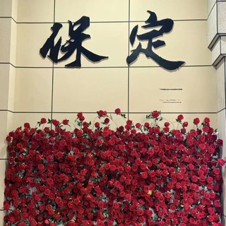 Telegram profile photo for 河北保定女儿国周更群