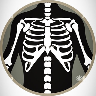 Telegram profile photo for X-Ray Cases For Undergraduate