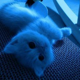 Telegram profile photo for Кристии