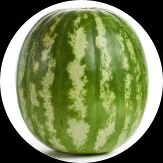 Telegram group profile photo for Отзывы ВайралШоп | +rep
