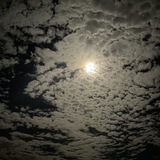 Telegram profile photo for قَــبَس