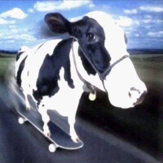 Telegram profile photo for Сведения от гения!