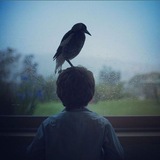 Telegram profile photo for review all apps.