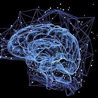 Telegram profile photo for neurovet_surgery