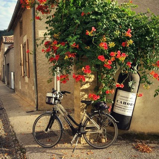 Telegram profile photo for Travelclever
