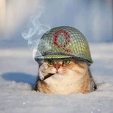 Telegram profile photo for Q Drop RSS Channel - Qagg & 8kun