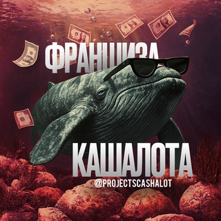 Telegram profile photo for Проекты КАШАЛОТА