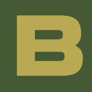 Telegram profile photo for Banak.info ռազմական մասնագիտացված կայք