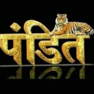 Telegram profile photo for Pandit Raaj guru 😊