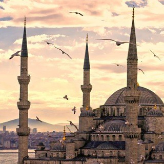 Telegram profile photo for 🇹🇷 ТУРЦИЯ 🇹🇷 БАНКИ, ФИНАНСЫ, ЭКОНОМИКА