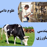 Telegram profile photo for کار مهندسی کشاورزی و علوم دامی استخدامی